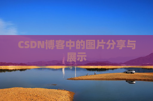 CSDN博客中的图片分享与展示